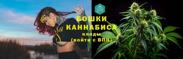 твердый Аркадак