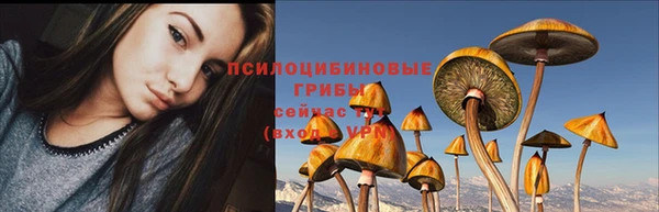 твердый Аркадак