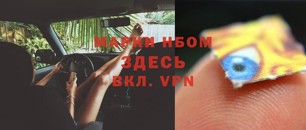 прущая мука Арсеньев