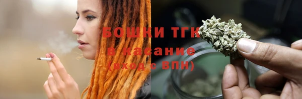 твердый Аркадак