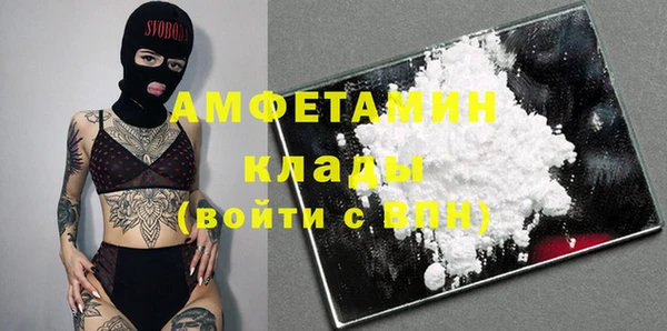 твердый Аркадак
