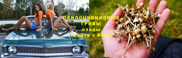 прущая мука Арсеньев