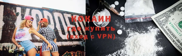 твердый Аркадак