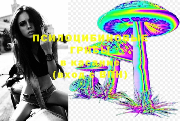 твердый Аркадак