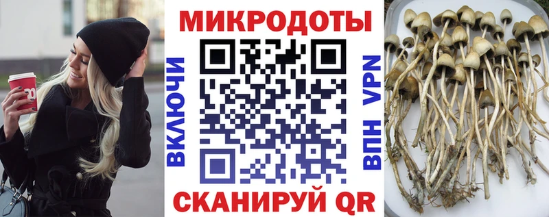 Галлюциногенные грибы Magic Shrooms  Среднеуральск 